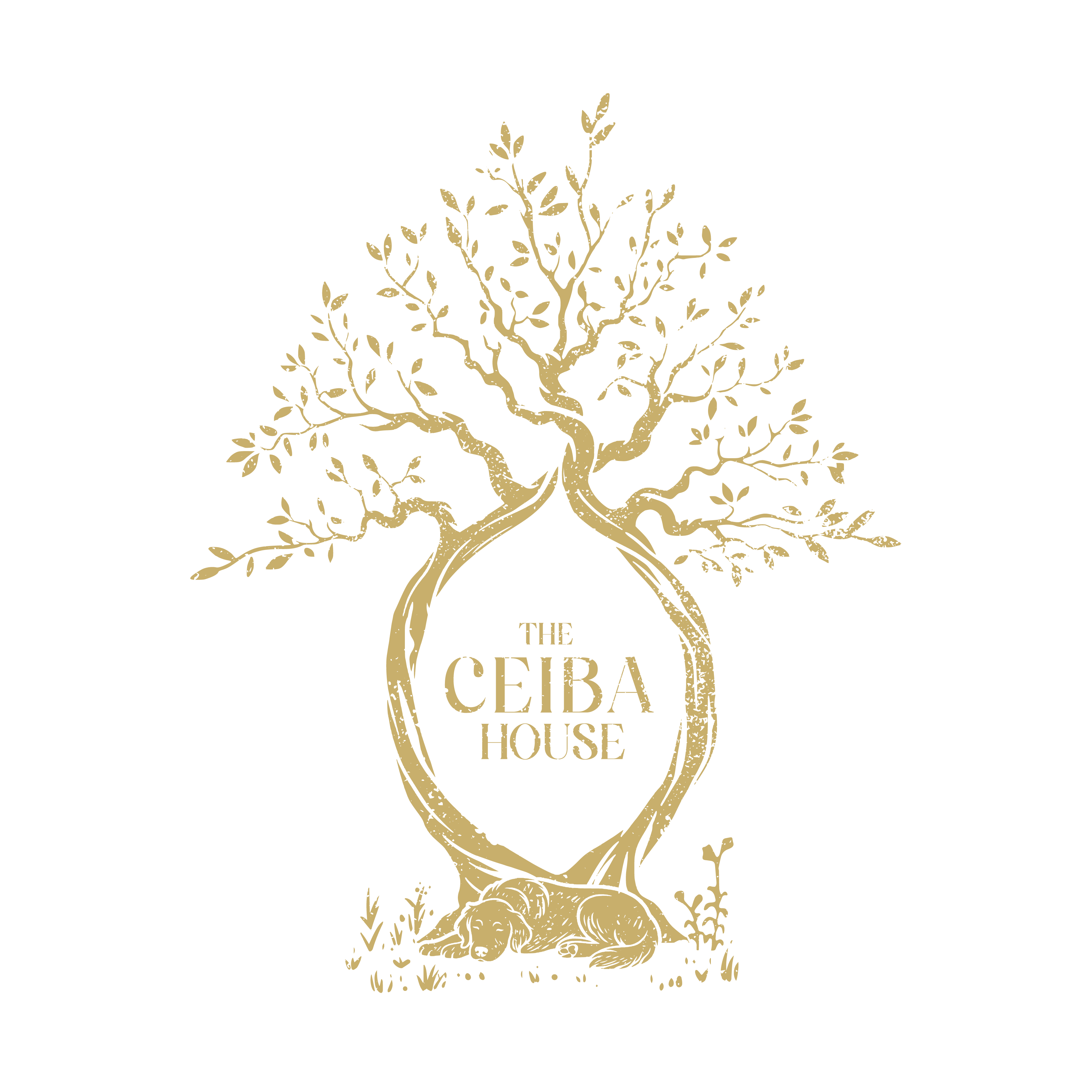 The Ceiba House